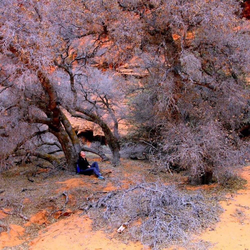 Welcome to my closet 💚 !!!!!! - Picture 4 of 16